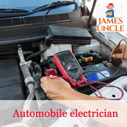 Automobile electrician Mr. Sk Rajes in Suri